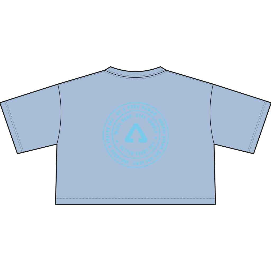 We've Got Values — Heavyweight Crop Tee