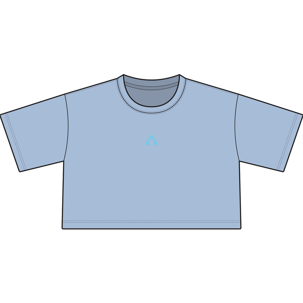 We've Got Values — Heavyweight Crop Tee